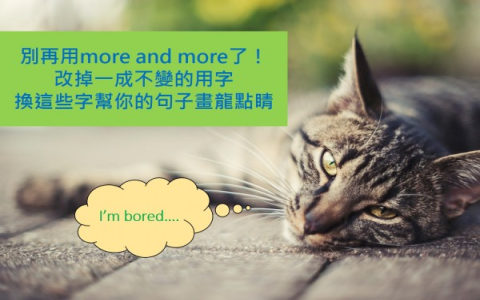 各式各樣的英文various與a variety of 多樣性形容詞用法