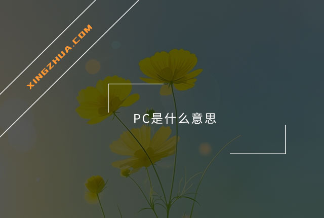 PC 網路用語 Personal Computer 或是 Politically Correct PC 網路用語 Personal Computer 或是 Politically Correct
